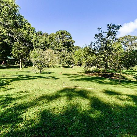 Hotel Refugio Ecologico Amadamata Nova Friburgo Esterno foto