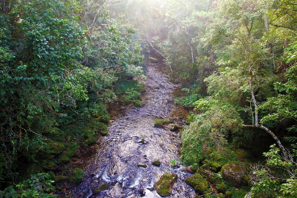Hotel Refugio Ecologico Amadamata Nova Friburgo Esterno foto