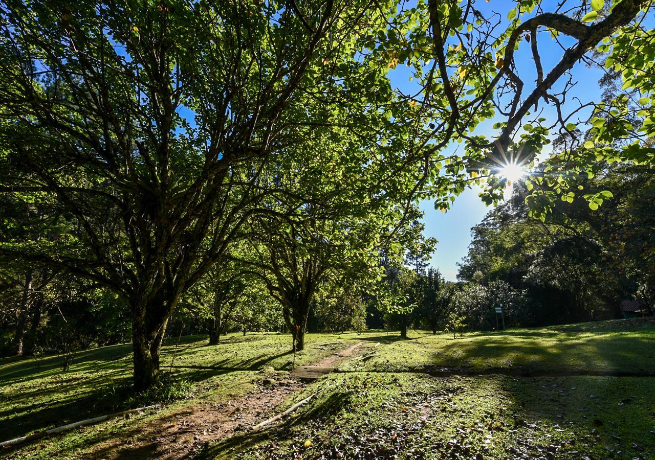Hotel Refugio Ecologico Amadamata Nova Friburgo Esterno foto