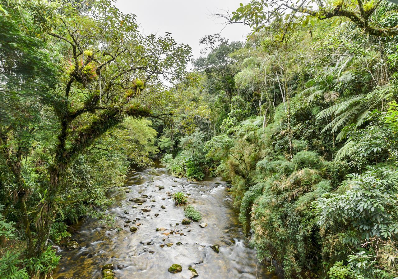 Hotel Refugio Ecologico Amadamata Nova Friburgo Esterno foto