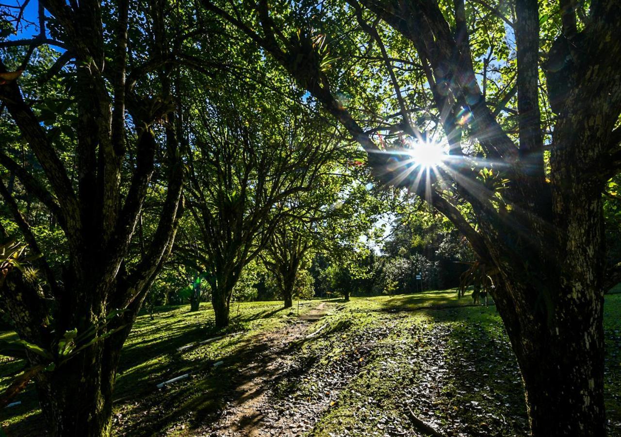 Hotel Refugio Ecologico Amadamata Nova Friburgo Esterno foto